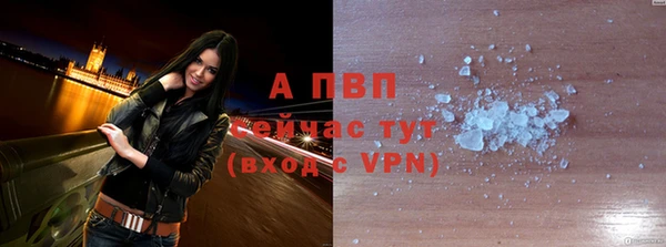 сатива Мегион