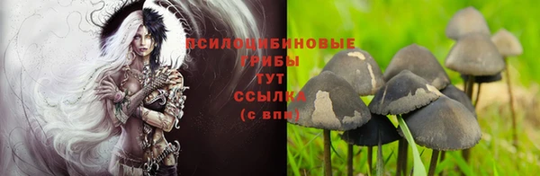 спиды Медногорск