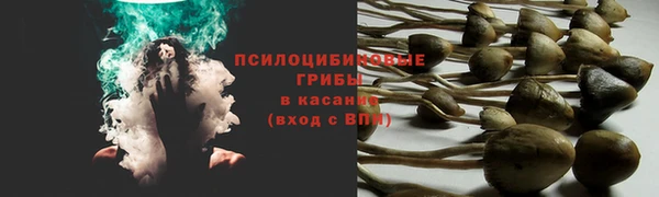 сатива Мегион