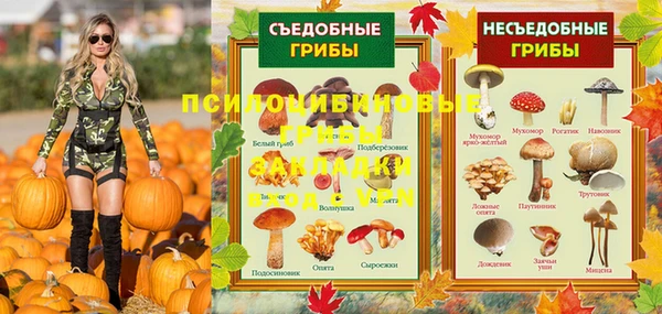 сатива Мегион
