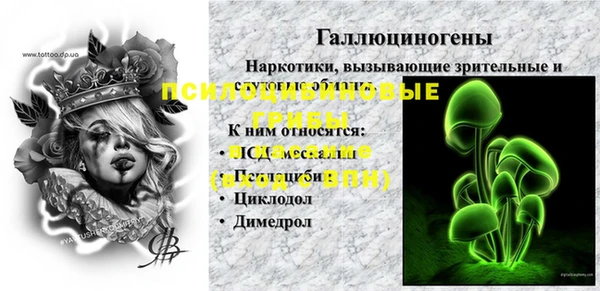 спиды Медногорск
