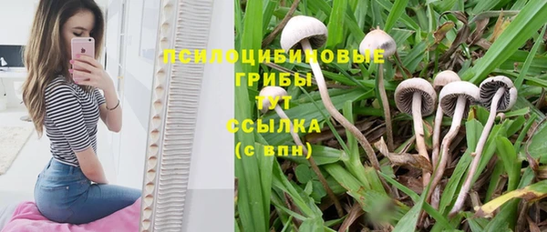 спиды Медногорск