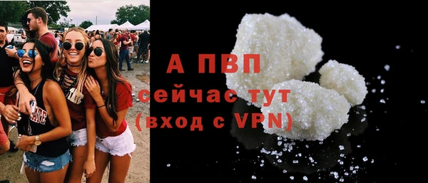 сатива Мегион