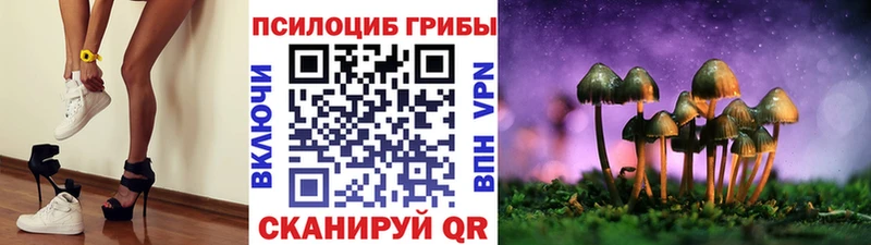 где купить наркоту  Чита  блэк спрут ссылка  Галлюциногенные грибы мицелий 